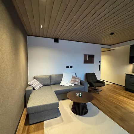 Great New Near The Center Of Levi Appartement *