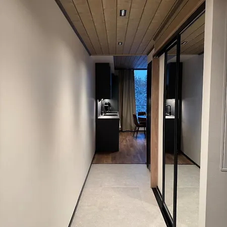Great New Near The Center Of Levi