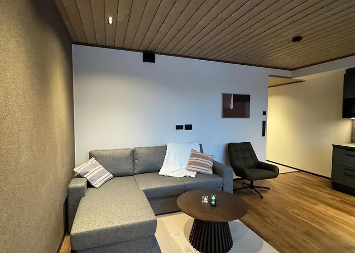 Great New Near The Center Of Levi Appartement *