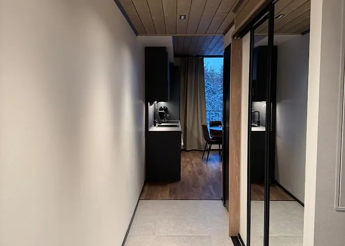 Great New Near The Center Of Levi